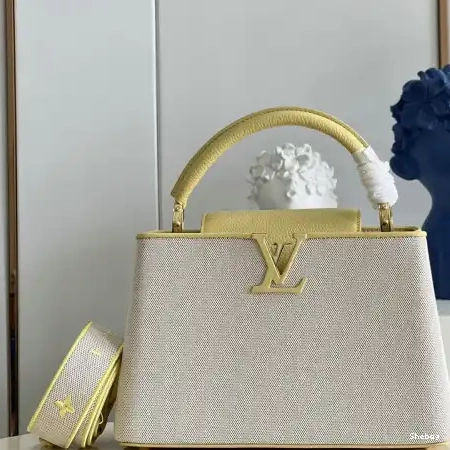 2207YA0088 Bag LV 0810